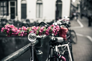 selective focus photo of pink petaled flower decorated in bicycle