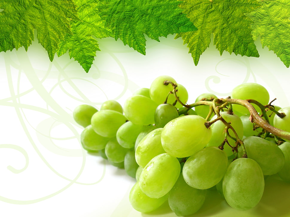 green grapes HD wallpaper