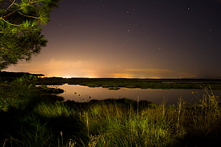 body of water between green grass field during night time