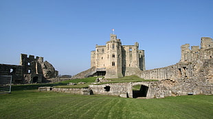 gray stone castle