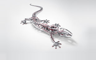silver-colored gecko model HD wallpaper