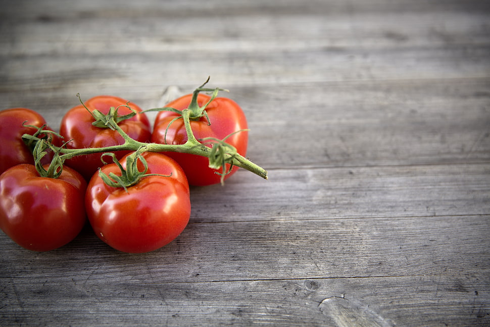 red tomatoes in brown surface HD wallpaper