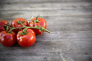 red tomatoes in brown surface HD wallpaper