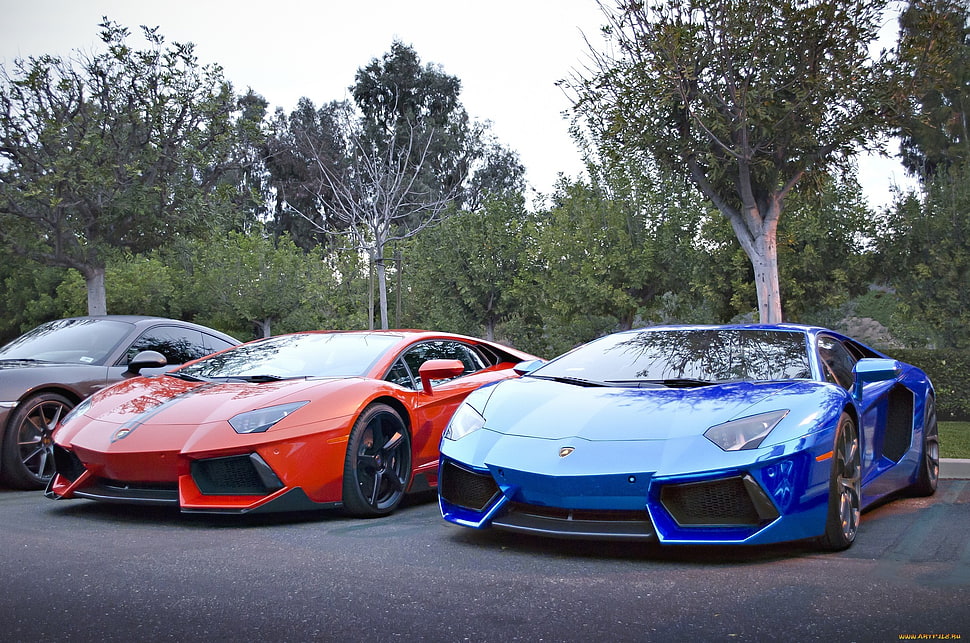blue and red cars, car, luxury cars, Lamborghini, Lamborghini Aventador HD wallpaper