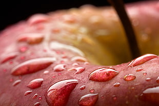 macro photography of dew on red apple