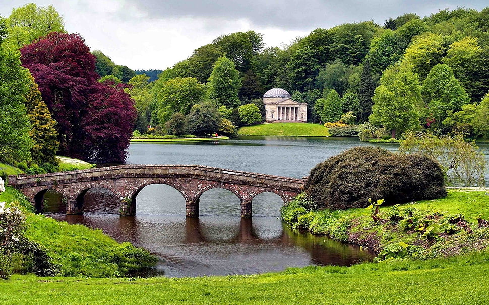 bridge near house HD wallpaper