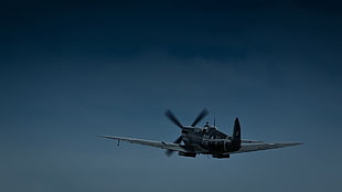 black and white plane, Supermarine Spitfire,  Spitfire HF Mk. VIIIc HD wallpaper