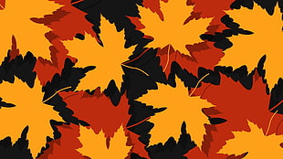 yellow and orange maple leaves wallpaper, leaves, maple leaves, vector