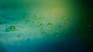 green water droplets HD wallpaper