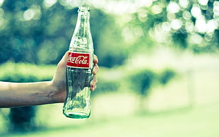 selective focus photograph of person holding Coca-Cola bottle