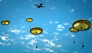 yellow parachutes, United States Army, airborne, military, USA