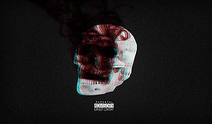 musical album digital wallpaper, black, skull, 3D, dark
