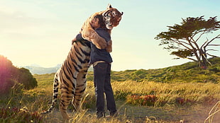 man hugging tiger digital wallpaper HD wallpaper