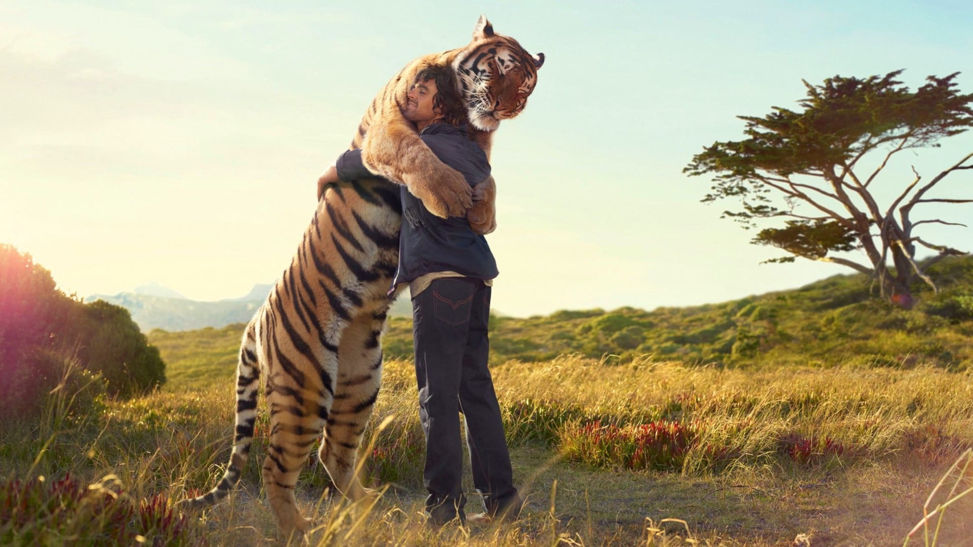 1536x864 resolution | man hugging tiger digital wallpaper HD wallpaper ...