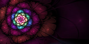 pink and green flower illustration, fractal, Apophysis, mathematics, golden ratio HD wallpaper