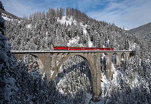 red train, train, winter, Wiesen Viaduct, Switzerland