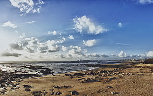 stones on seashore under blue and white sky