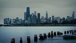 Skyline, Fullerton, Beach, Chicago, IL HD wallpaper