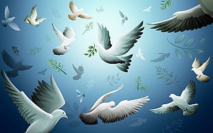 flock of white birds illustration HD wallpaper