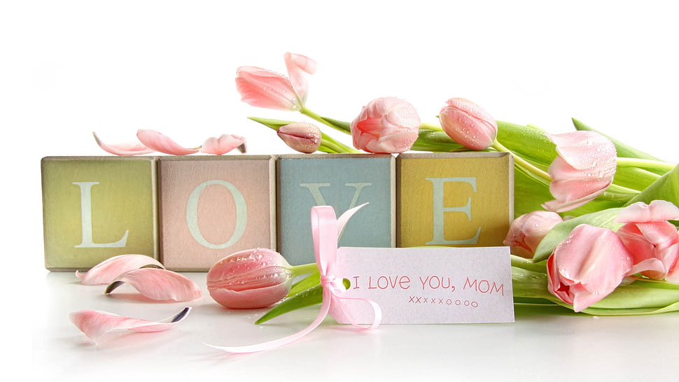 pink Tulips with Love cubes HD wallpaper