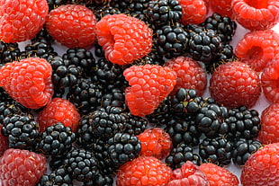 black and red raspberries
