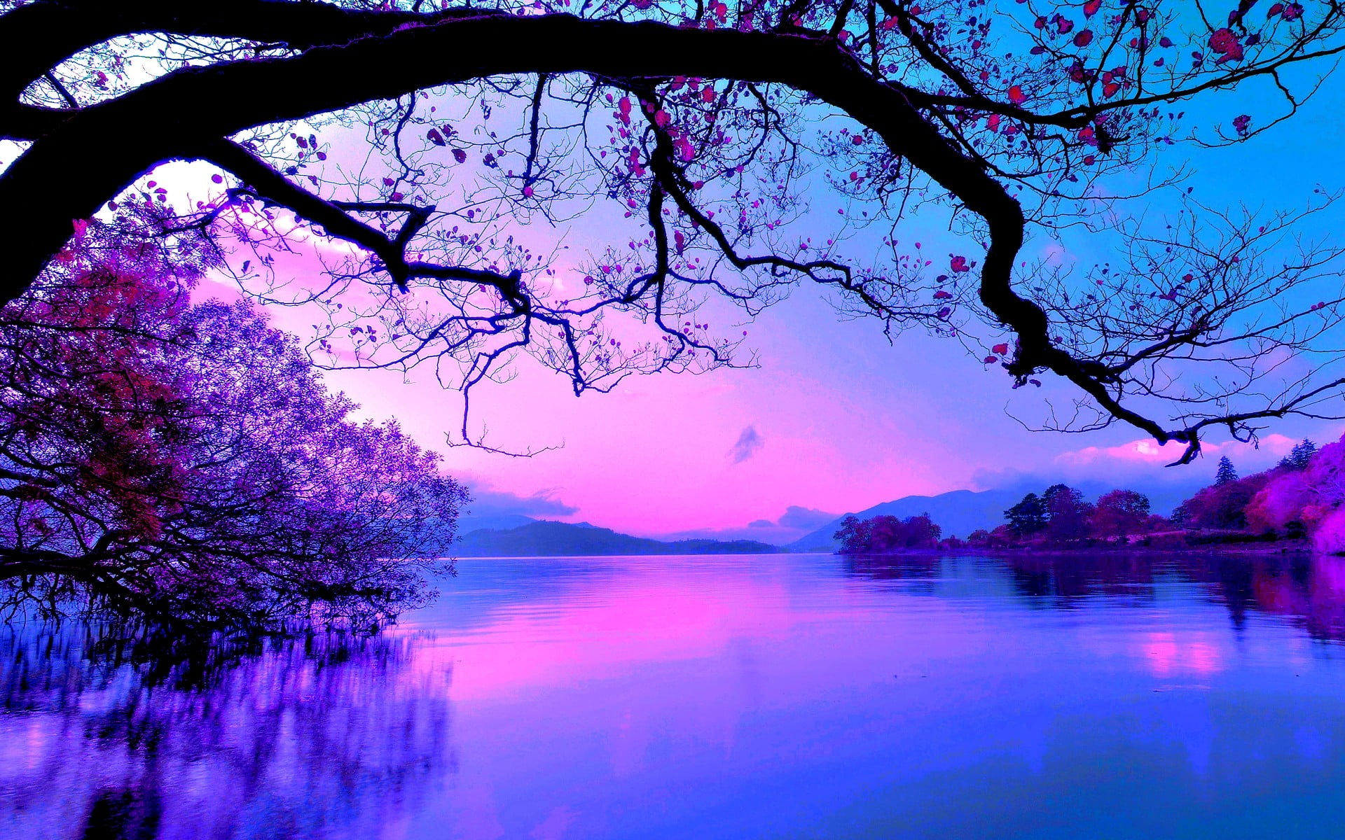 Purple Sky Nature Hd Wallpaper Wallpaper Flare