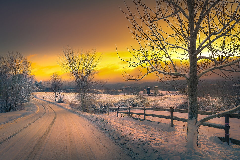 landscape photography of icy road HD wallpaper
