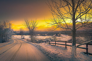 landscape photography of icy road