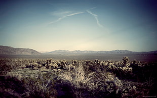 photography, sky, desert, landscape