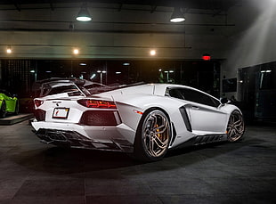 white coupe, Lamborghini, vehicle, Lamborghini Aventador, car