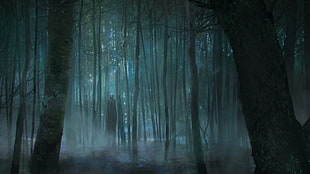 tall trees, horror HD wallpaper