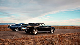 two classic blue and black Ford Mustang coupe, Ford Mustang, Shelby GT500, car