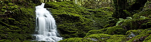 waterfalls surrounded with green grass
