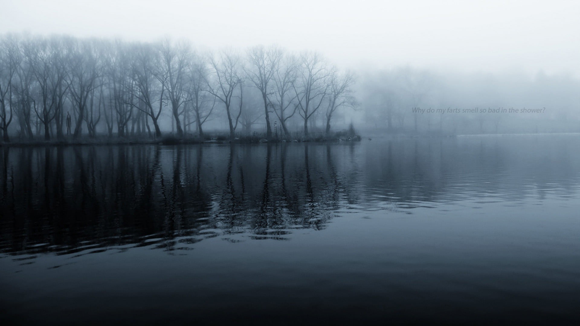 body of water, nature, mist, trees