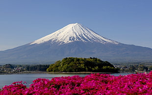 Mt. Fuji, Japan, landscape, Mount Fuji, mountains