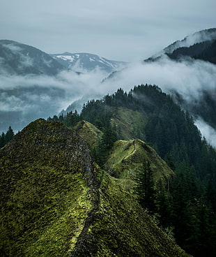aerial view photography of pathway in green hills leading to forest covered mountain covered with fogs HD wallpaper