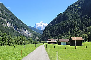 brown and gray houses beside the road photo, eiger