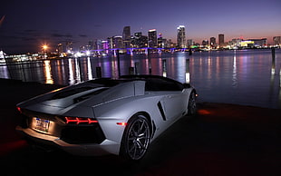 gray coupe, Lamborghini, Lamborghini Aventador LP700-4 Roadster, Lamborghini Aventador, Miami HD wallpaper