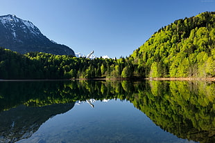 body of water near mountain at daytime