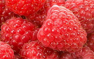 closed up photo of raspberries