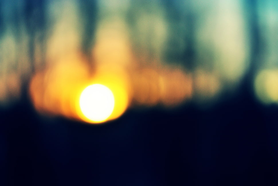 Sun,  Forest,  Sunset,  Trees HD wallpaper