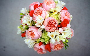 pink and red roses bouquet
