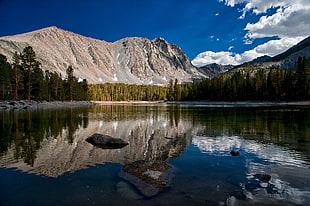 landscape photography of body of water, trees, and mountain during daytime