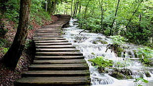 gray concrete stairs, nature, river, landscape, Croatia