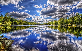 panoramic photography of trees under white sky reflecting on water