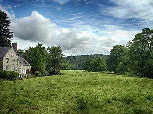 village house on green grass field