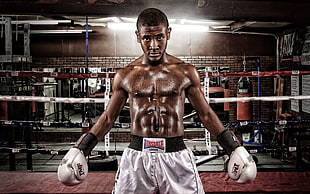 boxer athlete in a ring digital wallpaper HD wallpaper