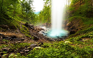 waterfall and green leafed trees, waterfall, forest