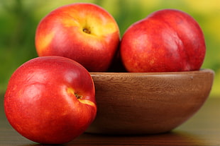 three apple with brown bowl photography