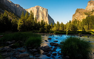 mountains, river, and trees, lake, river, nature, landscape